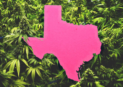 How Texans Fight for Medical Cannabis Access