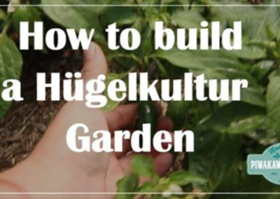 How to Build Hügelkultur Gardens